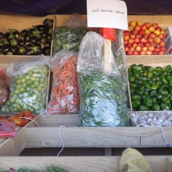 تمكين المرأة اقتصاديا وتوسيع دائرة الإنتاج