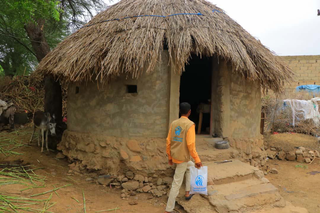 اضاحي العيد اليمن