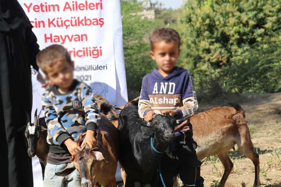 منظمة وقف الأيتام