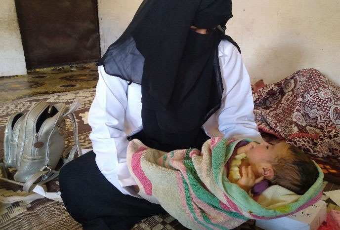 المشروع التكاملي