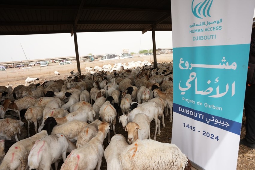 أكثر من 20 ألف شخص يستفيدون من توزيع لحوم الأضاحي في جيبوتي
